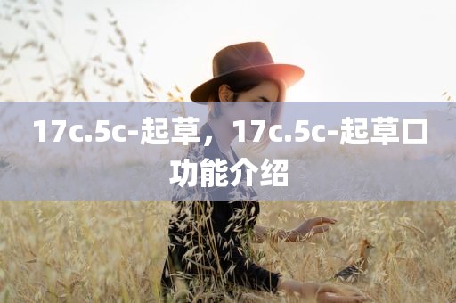 17c.5c-起草，17c.5c-起草口功能介绍