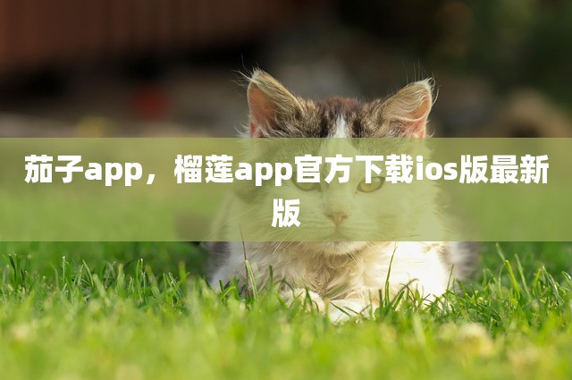 茄子app，榴莲app官方下载ios版最新版