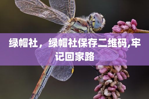 绿帽社，绿帽社保存二维码,牢记回家路