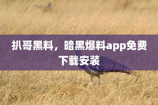 扒哥黑料，暗黑爆料app免费下载安装