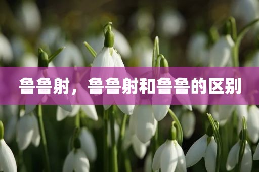 鲁鲁射，鲁鲁射和鲁鲁的区别