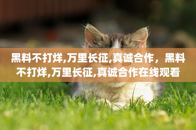 黑料不打烊,万里长征,真诚合作，黑料不打烊,万里长征,真诚合作在线观看