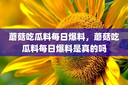 蘑菇吃瓜料每日爆料，蘑菇吃瓜料每日爆料是真的吗