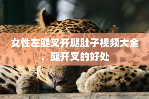 女性左腿叉开腿肚子视频大全，腿开叉的好处
