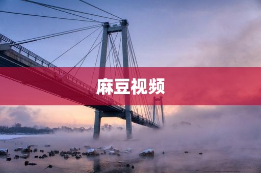 麻豆视频