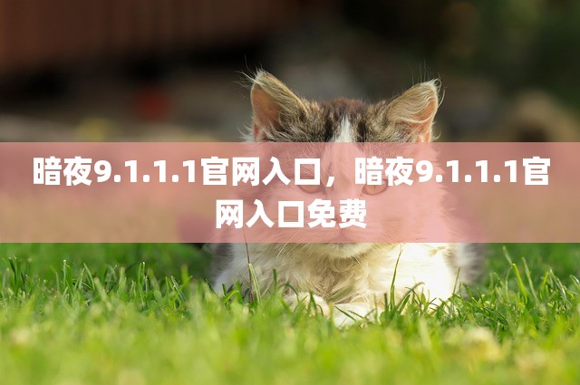 暗夜9.1.1.1官网入口，暗夜9.1.1.1官网入口免费
