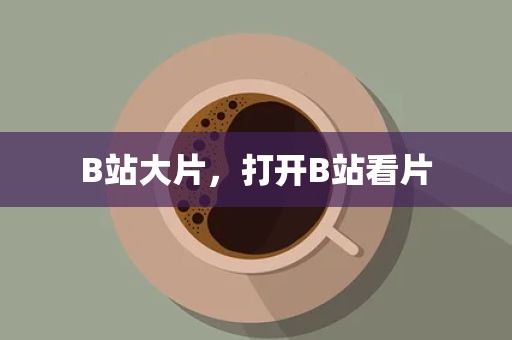 B站大片，打开B站看片