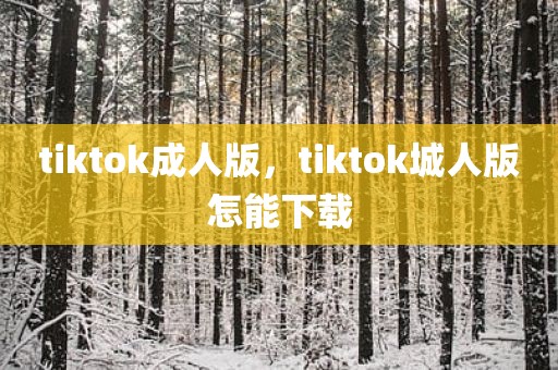 tiktok成人版，tiktok城人版怎能下载