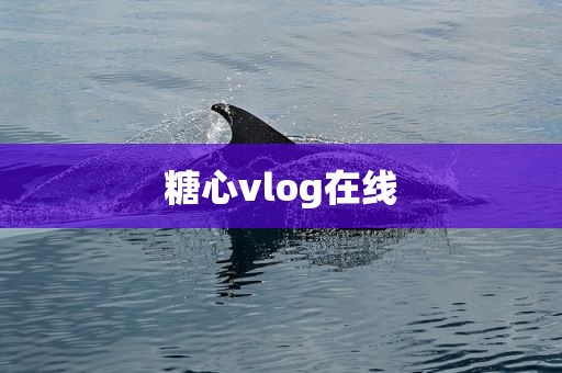 糖心vlog在线
