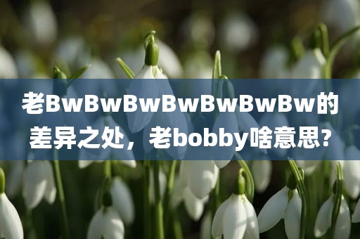 老BwBwBwBwBwBwBw的差异之处，老bobby啥意思?