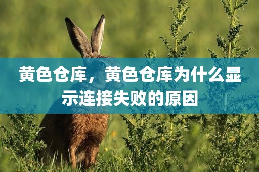 黄色仓库，黄色仓库为什么显示连接失败的原因