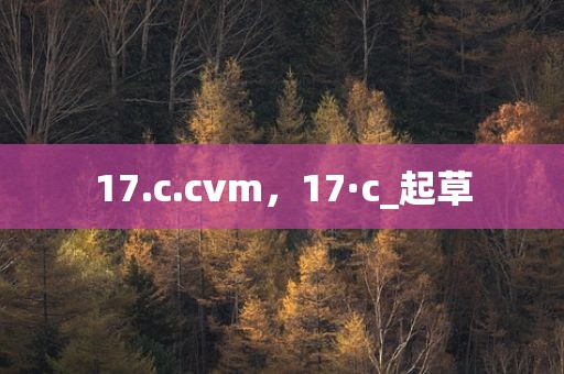 17.c.cvm，17·c_起草