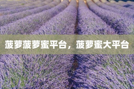 菠萝菠萝蜜平台，菠萝蜜大平台