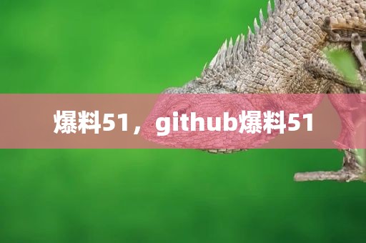 爆料51，github爆料51