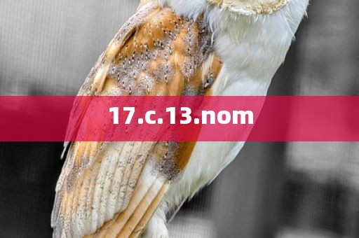 17.c.13.nom