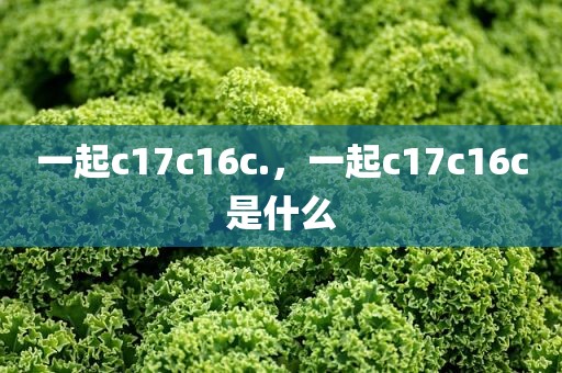 一起c17c16c.，一起c17c16c是什么