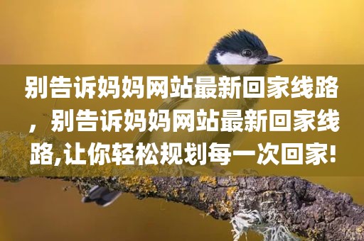 别告诉妈妈网站最新回家线路，别告诉妈妈网站最新回家线路,让你轻松规划每一次回家!