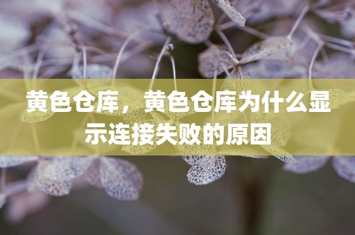 黄色仓库，黄色仓库为什么显示连接失败的原因