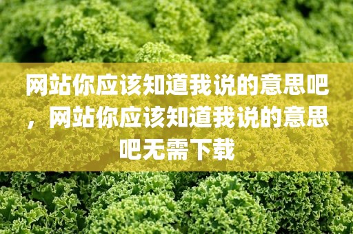 网站你应该知道我说的意思吧，网站你应该知道我说的意思吧无需下载