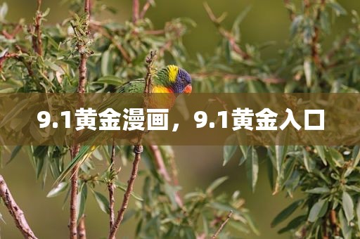 9.1黄金漫画，9.1黄金入口