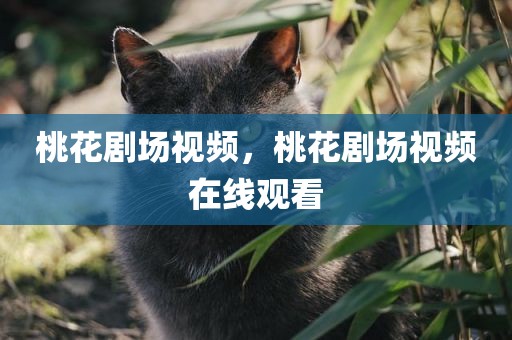 桃花剧场视频，桃花剧场视频在线观看