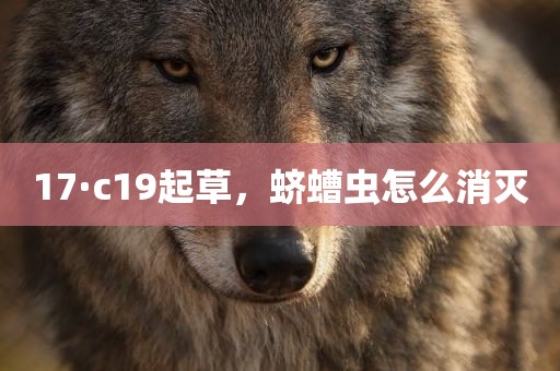 17·c19起草，蛴螬虫怎么消灭