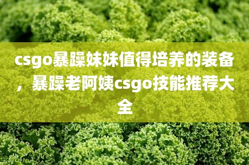 csgo暴躁妹妹值得培养的装备，暴躁老阿姨csgo技能推荐大全