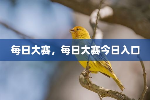 每日大赛，每日大赛今日入口