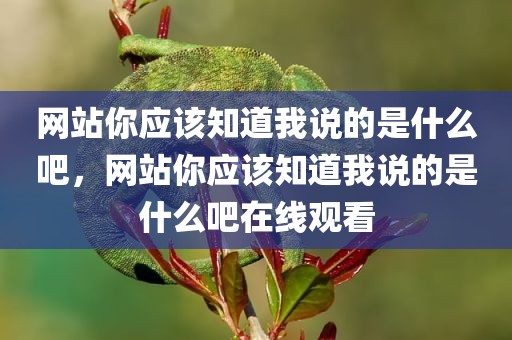 网站你应该知道我说的是什么吧，网站你应该知道我说的是什么吧在线观看