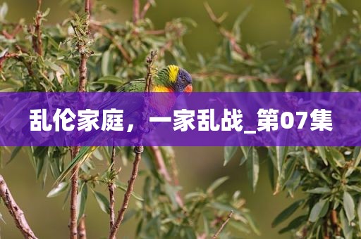 乱伦家庭，一家乱战_第07集