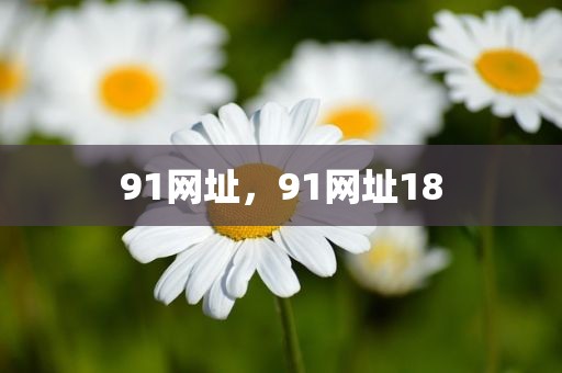 91网址，91网址18