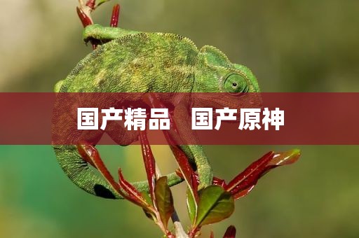 国产精品   国产原神