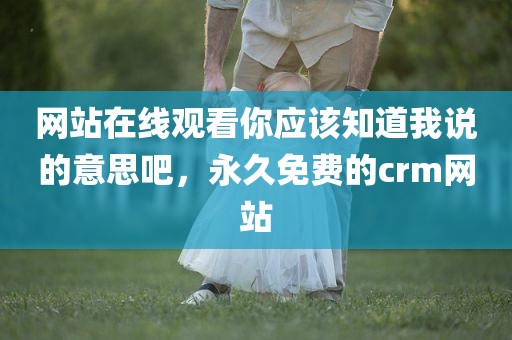 网站在线观看你应该知道我说的意思吧，永久免费的crm网站