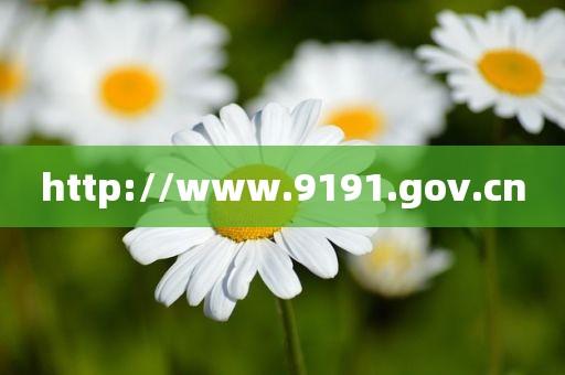 http://www.9191.gov.cn