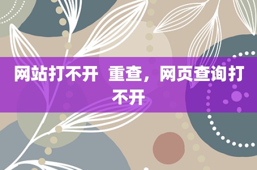 网站打不开  重查，网页查询打不开