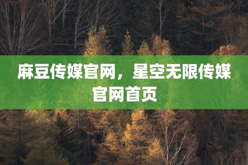 麻豆传媒官网，星空无限传媒官网首页