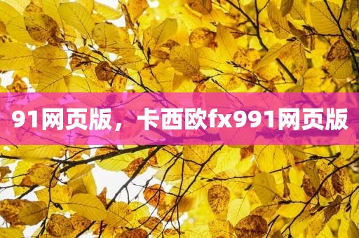 91网页版，卡西欧fx991网页版