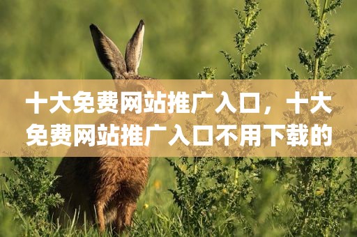 十大免费网站推广入口，十大免费网站推广入口不用下载的