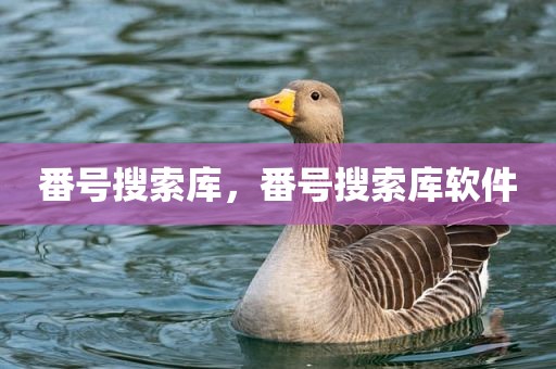 番号搜索库，番号搜索库软件