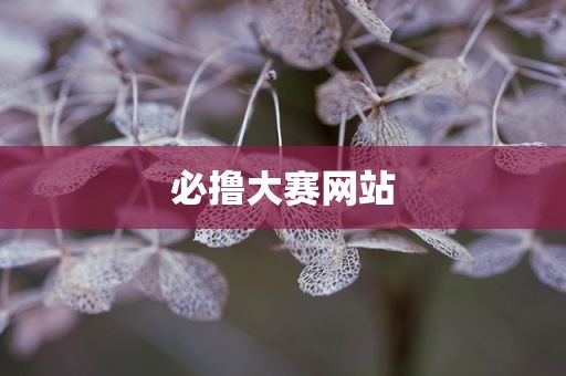 必撸大赛网站