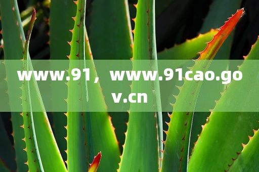www.91，www.91cao.gov.cn