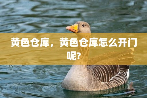 黄色仓库，黄色仓库怎么开门呢?