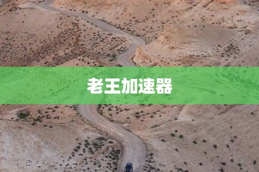 老王加速器
