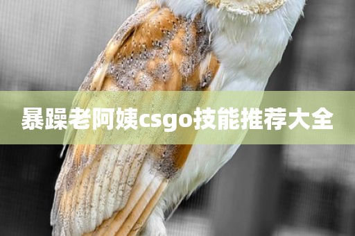 暴躁老阿姨csgo技能推荐大全