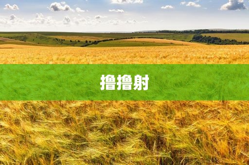 撸撸射