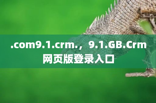 .com9.1.crm.，9.1.GB.Crm网页版登录入口