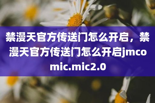禁漫天官方传送门怎么开启，禁漫天官方传送门怎么开启jmcomic.mic2.0