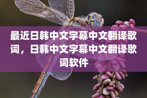 最近日韩中文字幕中文翻译歌词，日韩中文字幕中文翻译歌词软件