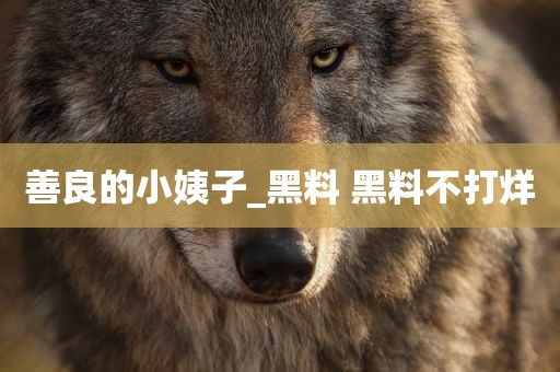 善良的小姨子_黑料 黑料不打烊