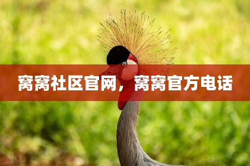 窝窝社区官网，窝窝官方电话
